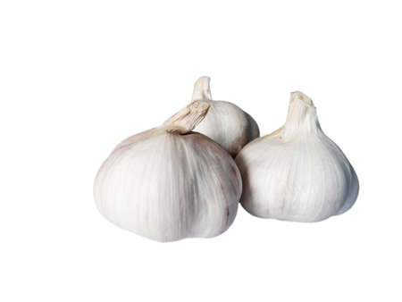 garlic on white background easy to useの写真素材