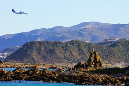 Just about to land at Wellington Airport の写真素材