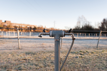 Tap in the meadowの写真素材