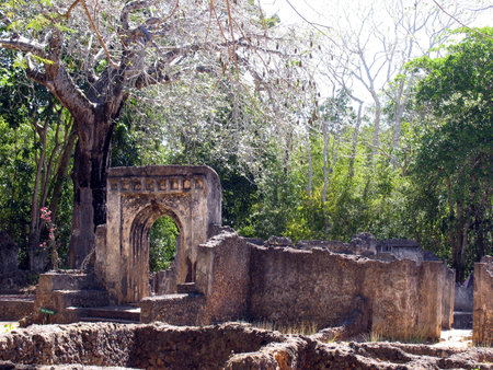 Gede Ruins, North of Mombassa in Kenyaの写真素材