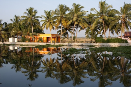 Views on Kerela Backwaters, Cochin, Indiaのeditorial素材