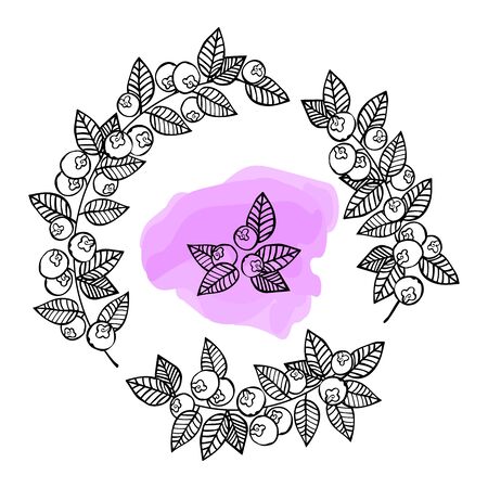 Frame - wreath. Berries and leaves. Vector isolated object on white background. Spot paint.のイラスト素材