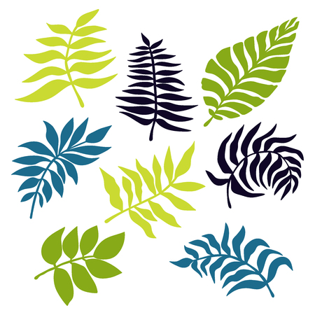 Palm branch. Fern. Leaves. Isolated vector objects on white background.のイラスト素材