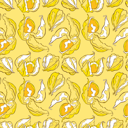 Ripe physalis. Flowers and berries. Seamless vector pattern (background).のイラスト素材