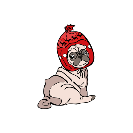 Pug dog. Isolated vector object on white background.のイラスト素材