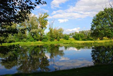 Wild pond in Wilan?w (Poland ) photographed on a sunny dayの写真素材