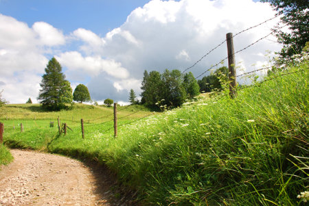 Road, meadow, barbed-wire fence in the Pieniny Mountainsの写真素材