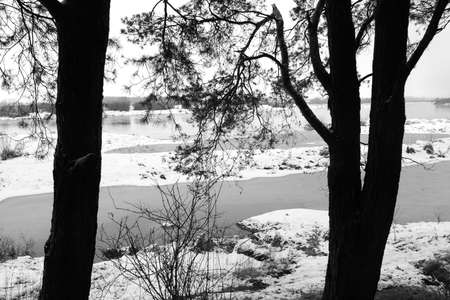 River Bug photographed in winter (black and white)の写真素材