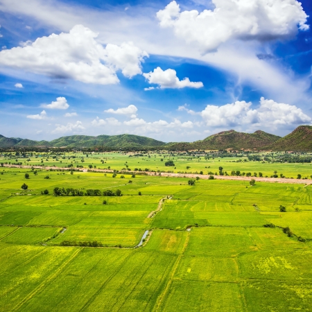 green farm with blue sky, Thailandの写真素材