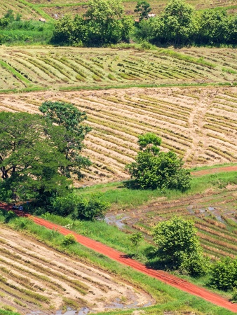 aerial view over the  harvest field の写真素材