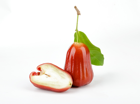 Rose apples isolated on white background.の写真素材