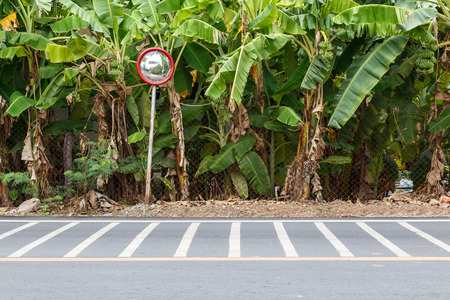 Convex mirror on the local road with banana trees background.の写真素材