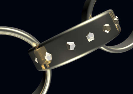 shain ring の写真素材