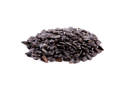 seed sunflowerの写真素材