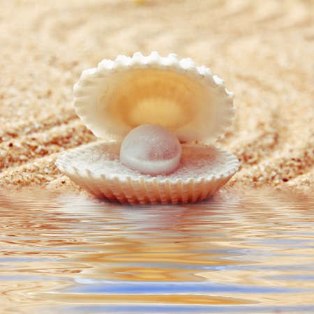 An open sea shell with a pearl inside.の写真素材