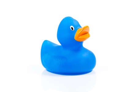 blue duckの写真素材