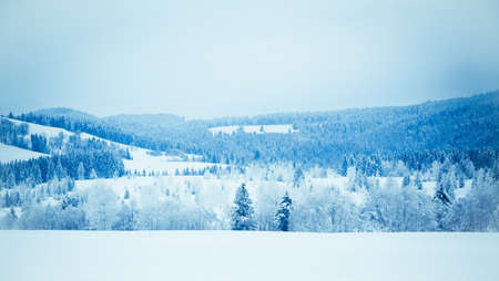 Beautiful winter landscapeの写真素材