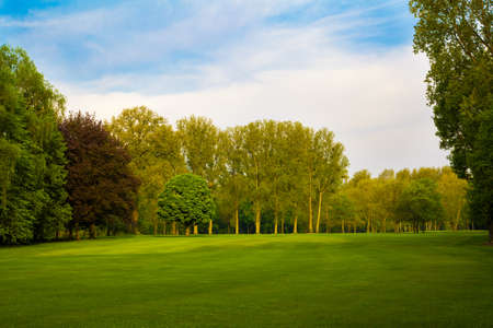 Beautiful summer landscapeの写真素材