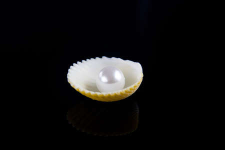 seashell with pearl on black backgroundの写真素材