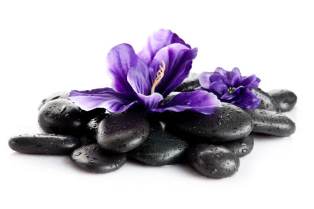 Spa stones and purple flower, isolated on white. flower in stone with drops of waterの写真素材