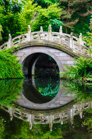 Beautiful Japanese garden