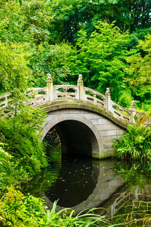 Beautiful Japanese gardenの写真素材
