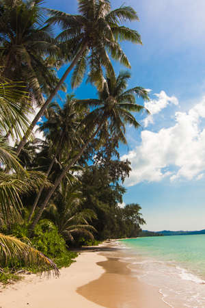 tropical beach. Beach on Ko Koodの写真素材