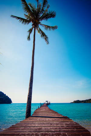Tropical Resort. boardwalk on beachの写真素材
