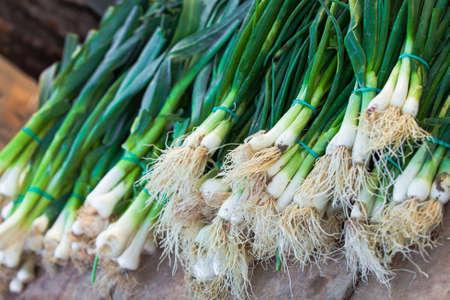 green onionsの写真素材