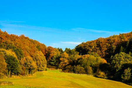 Autumn landscapeの写真素材