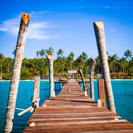 wooden walkwayの写真素材