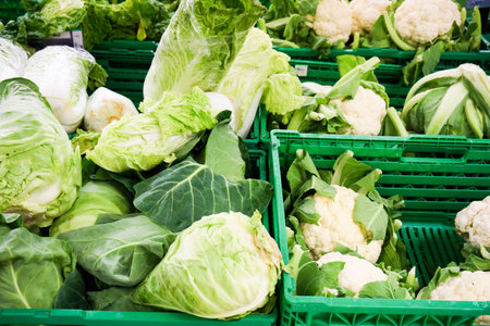 fresh vegetable for sale.の写真素材