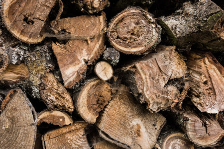 Firewood stacked