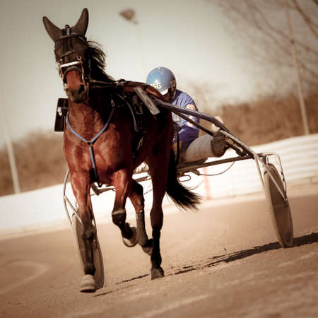 Harness Racing のeditorial素材