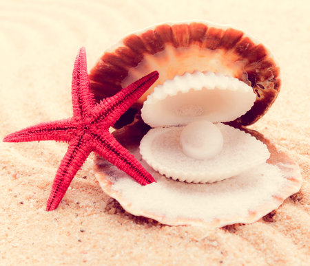 Shell with a pearl  の写真素材
