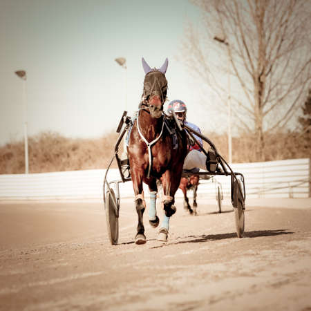 Harness Racing のeditorial素材