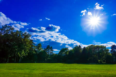 green fieldの写真素材