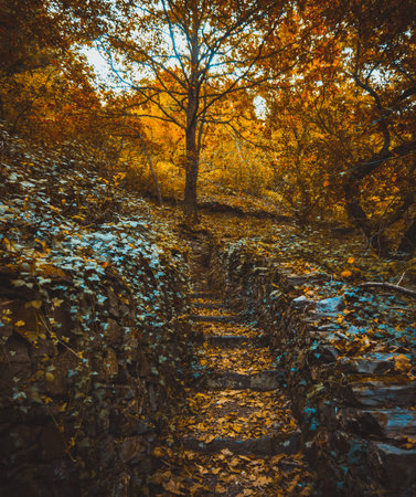 Autumn landscapeの写真素材