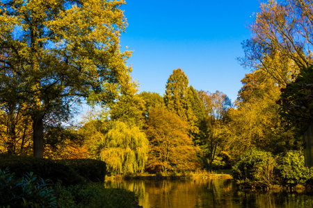 Autumn landscape.  Beautiful autumn foresの写真素材