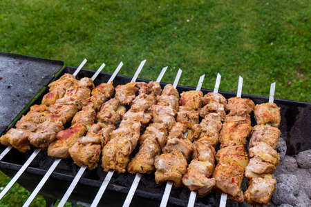 Grilled marinated caucasus barbecue meat shashlikの写真素材
