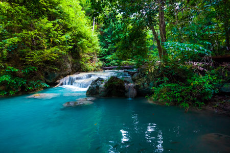 Beautiful waterfall. Deep forest Waterfall.の写真素材