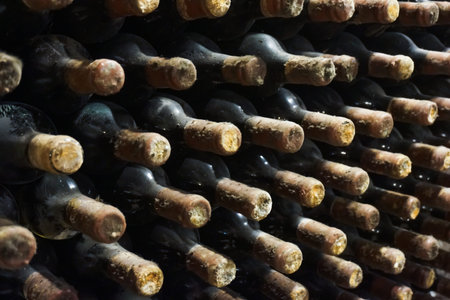 vineyard cellar with old bottles. Wine bottles from cellarの写真素材