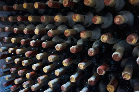 vineyard cellar with old bottles. Wine bottles from cellarの写真素材