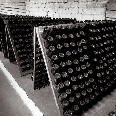 wine bottles in wine cellarの写真素材