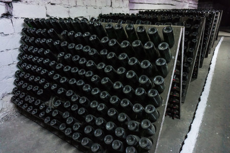 wine bottles in wine cellar