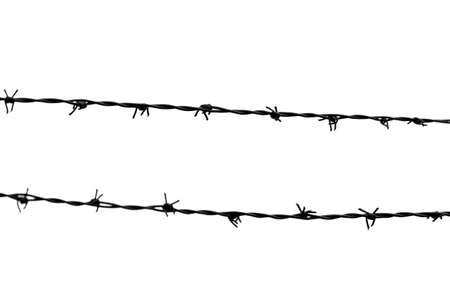 barbed wire isolatedの写真素材