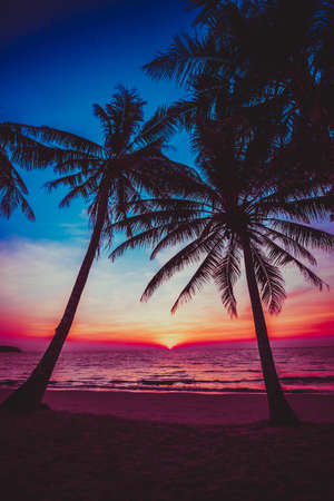 sunset tropical beach.  Beautiful sunsetの写真素材