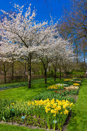 Beautiful Garden.  Garden landscape.  landscape designの写真素材