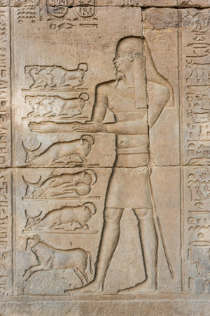 old egypt hieroglyphs carved on the stone. Detail from temple wall in Egypt.