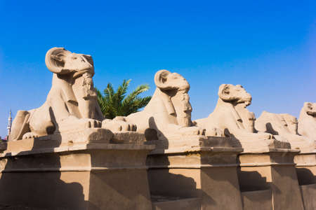 Sphinx Avenue in Luxor. Amun Temple of Luxor. Egyptの写真素材